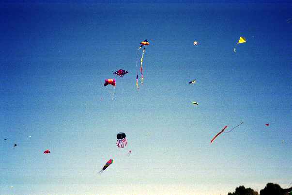 Kite Day - 21st May 2000 Avalon Park with Nana and Mum